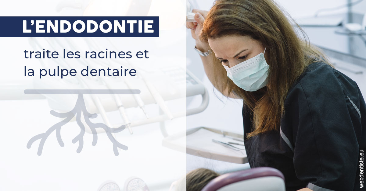 https://dr-alexandre-grau.chirurgiens-dentistes.fr/L'endodontie 1