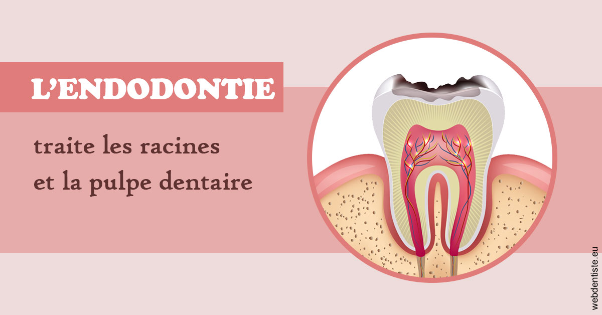 https://dr-alexandre-grau.chirurgiens-dentistes.fr/L'endodontie 2