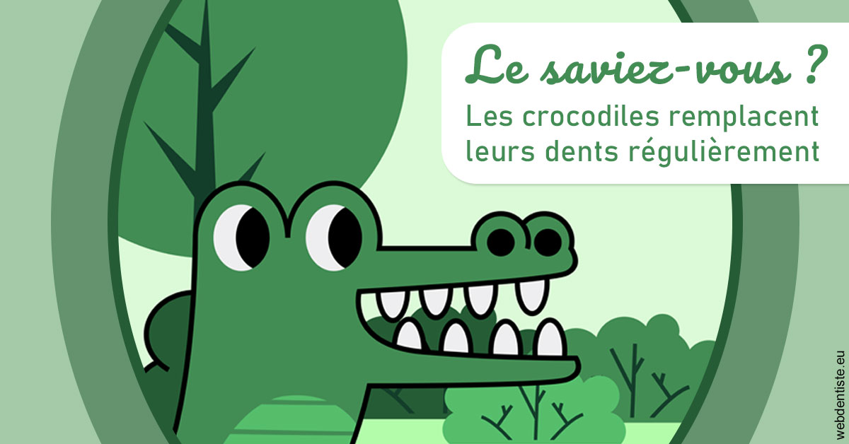 https://dr-alexandre-grau.chirurgiens-dentistes.fr/Crocodiles 2